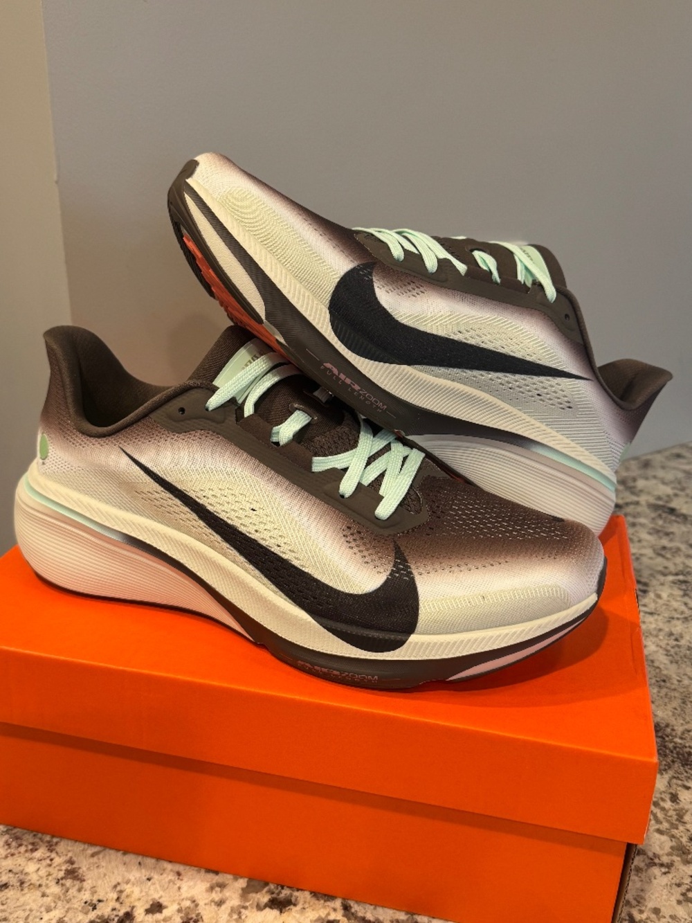 Men’s Nike Pegasus 42